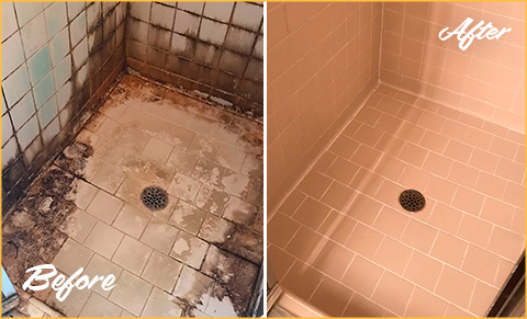 Tile Grout Cleaning Addison TX { Cheap Steam Cleaners }