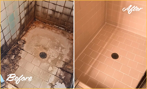 https://www.sirgroutdallasfortworth.com/images/p/g/1/tile-grout-cleaners-water-damage-shower-480.jpg