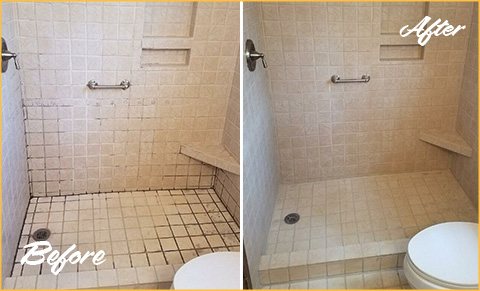 https://www.sirgroutdallasfortworth.com/images/p/g/6/grout-cleaning-moldy-shower-480.jpg
