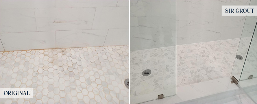 Shower Before and After a Flawless Tile Cleaning in Fort Worth, TX